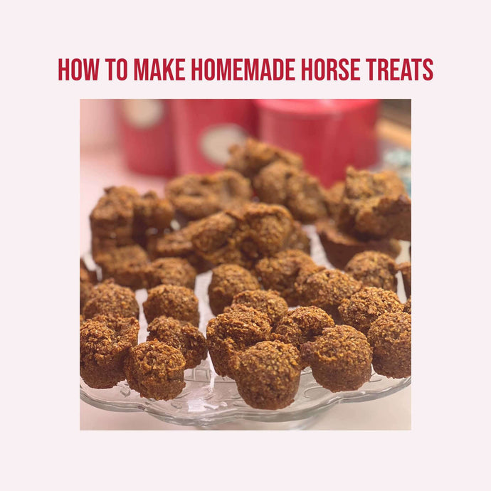 How To Make Simple Homemade Horse Treats