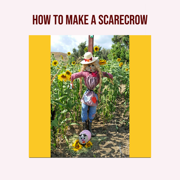 How To Make A Scarecrow